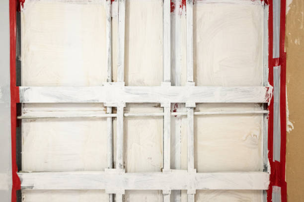 Best Environmental Consulting for Mold Prevention  in Clayton, NM