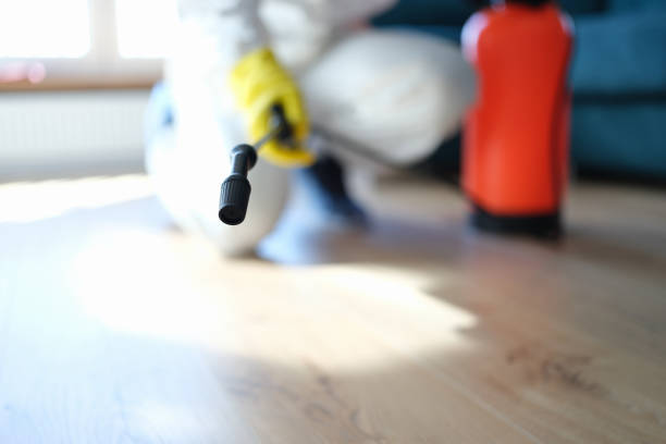 Best Mold Remediation for Healthcare Facilities  in Clayton, NM